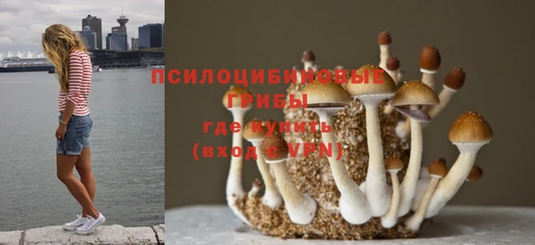экстази Аркадак