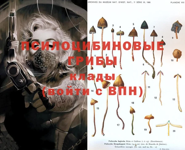 не бодяженный Арсеньев