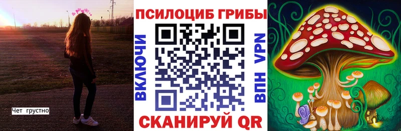 omg маркетплейс  Строитель  Псилоцибиновые грибы прущие грибы 