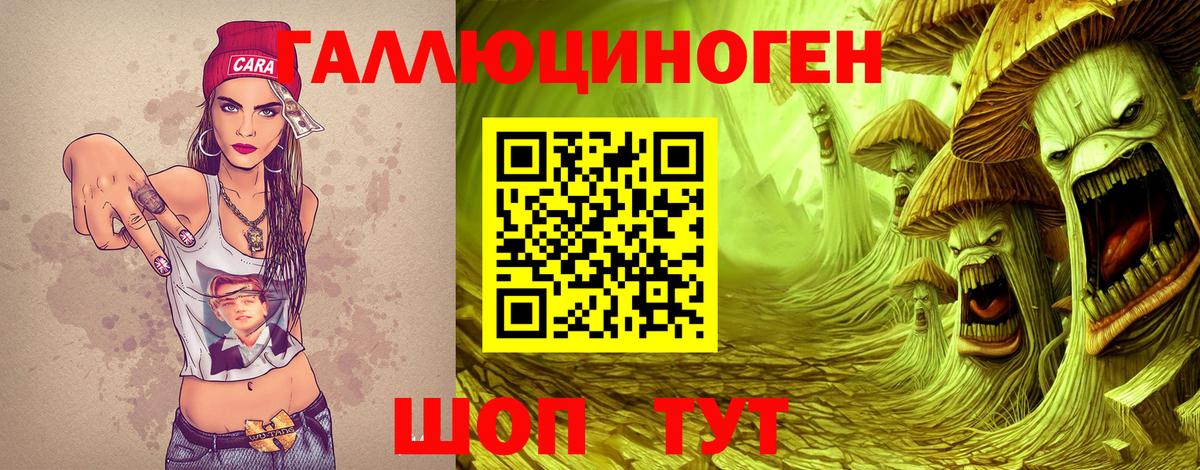 Псилоцибиновые грибы Psilocybine cubensis Строитель