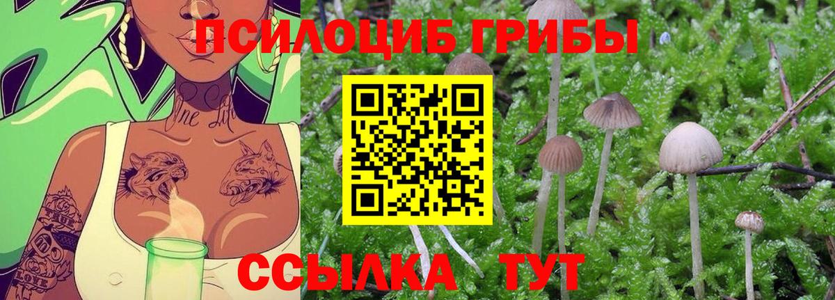 Строитель  Галлюциногенные грибы GOLDEN TEACHER  Галлюциногенные грибы Cubensis  Вход с VPN 
